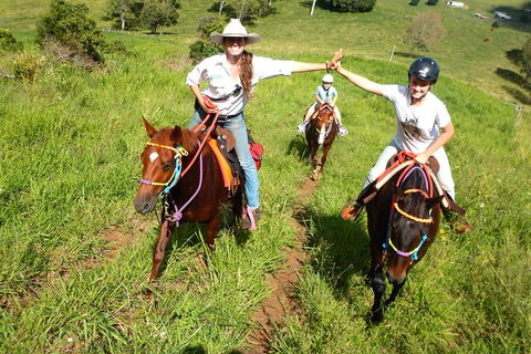 Country Day Ride From Mt Goomboorian With Rainbow Beach Horse Rides - Accommodation VIC 0