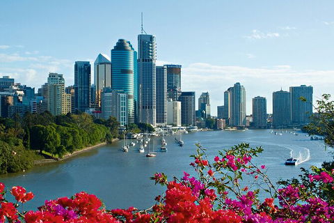 Brisbane Highlights And Lone Pine Cruise From Gold Coast - Accommodation VIC 5