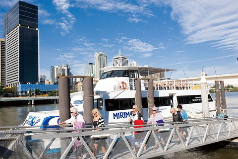 Brisbane Highlights And Lone Pine Cruise From Gold Coast - Accommodation VIC 13
