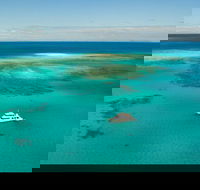 Great Barrier Reef Dive and Snorkel Cruise from Mission Beach - Accommodation VIC