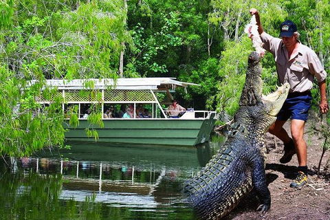 Crocs, Creatures And Culture Ex Northern Beaches - Accommodation VIC 1