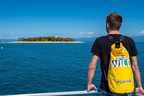 Half Day Low Isles Snorkelling Tour From Port Douglas - Accommodation VIC 5