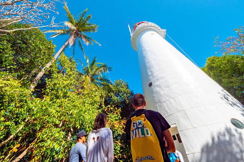 Half Day Low Isles Snorkelling Tour From Port Douglas - Accommodation VIC 7