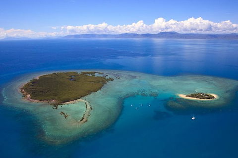 Half Day Low Isles Snorkelling Tour From Port Douglas - Accommodation VIC 4