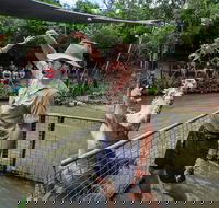 Hartley's Crocodile Adventures Day Trip from Cairns - Accommodation VIC