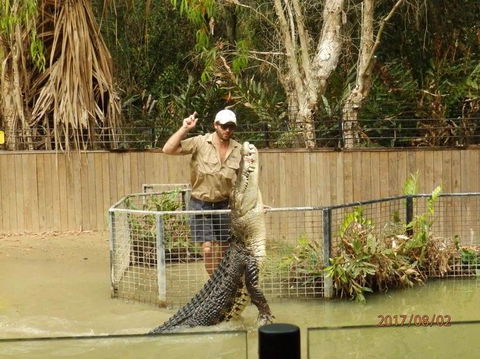 Hartley's Crocodile Adventures Day Trip From Cairns - Accommodation VIC 2