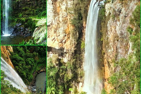 Rainforest & Waterfalls Extravaganza - Accommodation VIC 0