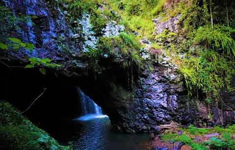 Rainforest & Waterfalls Extravaganza - Accommodation VIC 1