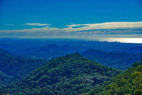 Rainforest & Waterfalls Extravaganza - Accommodation VIC 6