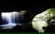 Rainforest & Waterfalls Extravaganza - thumb 5