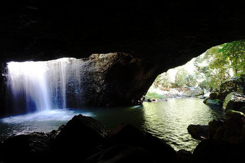 Rainforest & Waterfalls Extravaganza - Accommodation VIC 5