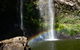 Rainforest & Waterfalls Extravaganza - thumb 4