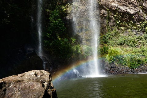Rainforest & Waterfalls Extravaganza - Accommodation VIC 4