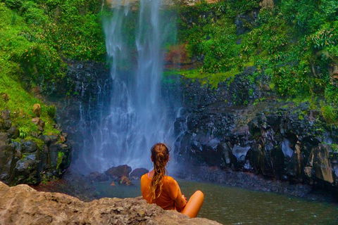 Rainforest & Waterfalls Extravaganza - Accommodation VIC 11