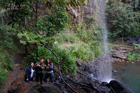 Rainforest & Waterfalls Extravaganza - Accommodation VIC 9