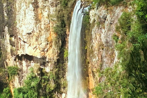 Rainforest & Waterfalls Extravaganza - Accommodation VIC 3