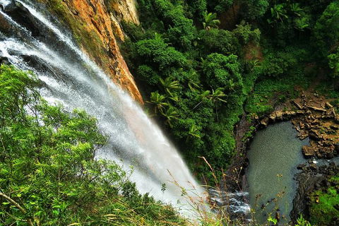 Rainforest & Waterfalls Extravaganza - Accommodation VIC 2