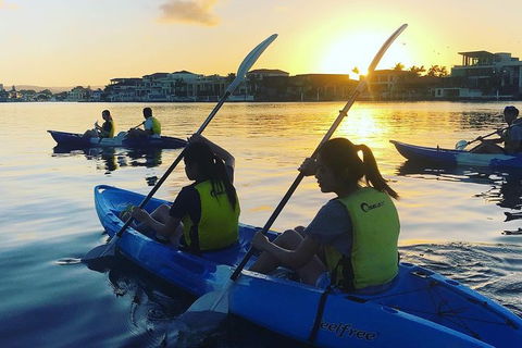 Surfers Paradise Sunset Kayak Tour - Accommodation VIC 8
