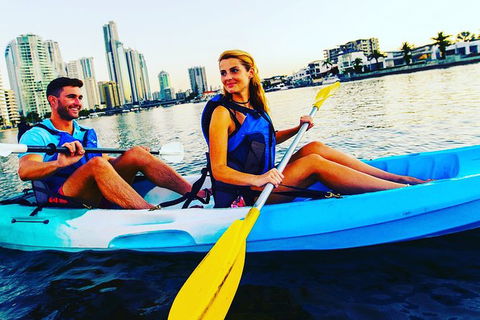 Surfers Paradise Sunset Kayak Tour - Accommodation VIC 3