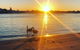 Surfers Paradise Sunset Kayak Tour - thumb 9