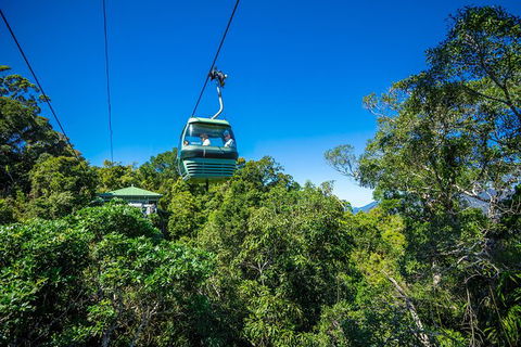 Kuranda Scenic Railway Day Trip From Palm Cove - Accommodation VIC 3