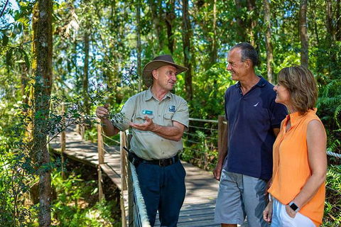Kuranda Scenic Railway Day Trip From Palm Cove - Accommodation VIC 4