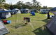 Overnight Tweed Coast Camping And Surfing Getaway From The Gold Coast - thumb 7