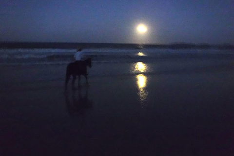 Full Moon Horse Ride At Rainbow Beach - Accommodation VIC 0