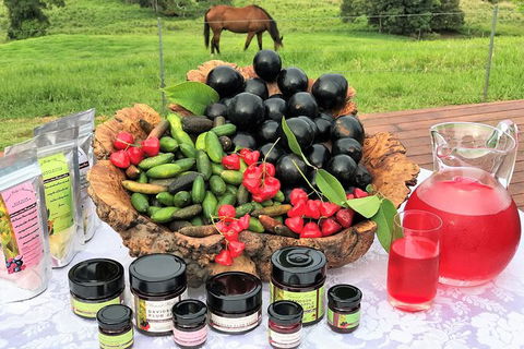 Atherton Tablelands Small-Group Food & Wine Tasting Tour From Port Douglas - Accommodation VIC 12