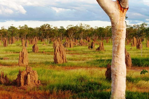 Atherton Tablelands Small-Group Food & Wine Tasting Tour From Port Douglas - Accommodation VIC 18