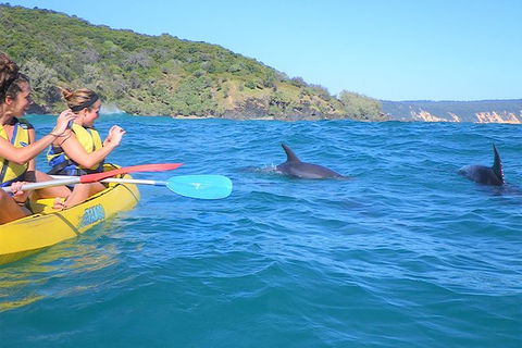 Half-Day Kayak With Dolphins And 4WD Beach Drive From Rainbow Beach - Accommodation VIC 1