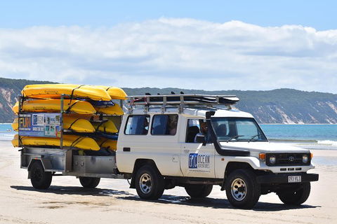 Half-Day Kayak With Dolphins And 4WD Beach Drive From Rainbow Beach - Accommodation VIC 13