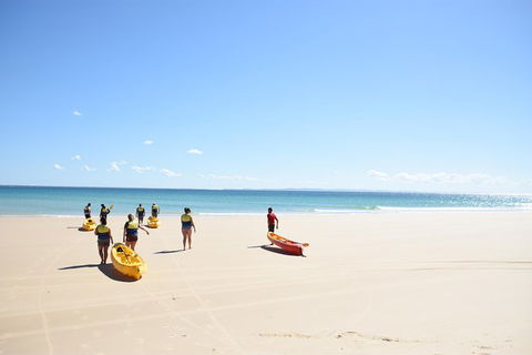 Half-Day Kayak With Dolphins And 4WD Beach Drive From Rainbow Beach - Accommodation VIC 10