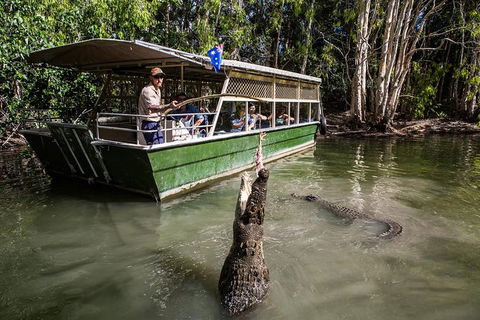 Hartley\'s Crocodile Adventures Day Trip From Palm Cove - Accommodation VIC 0