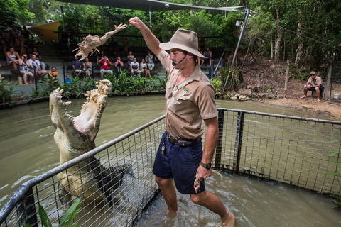 Hartley\'s Crocodile Adventures Day Trip From Palm Cove - Accommodation VIC 1