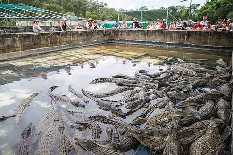 Hartley\'s Crocodile Adventures Day Trip From Palm Cove - Accommodation VIC 7