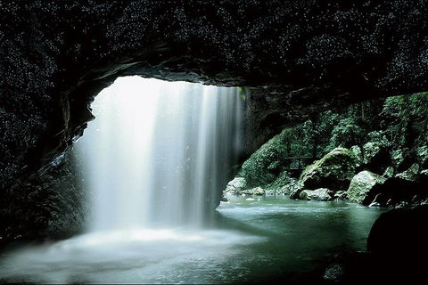 Natural Bridge Glow Worm Night Tour From Gold Coast - Accommodation VIC 0