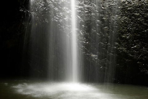 Natural Bridge Glow Worm Night Tour From Gold Coast - Accommodation VIC 1
