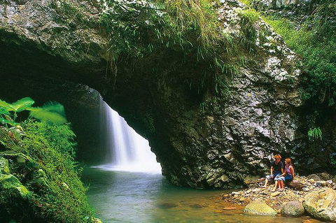 Natural Bridge Glow Worm Night Tour From Gold Coast - Accommodation VIC 7
