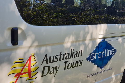 Natural Bridge Glow Worm Night Tour From Gold Coast - Accommodation VIC 9