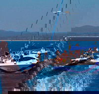 Blue Dolphin Exclusive Whale Watch Encounters - Accommodation VIC