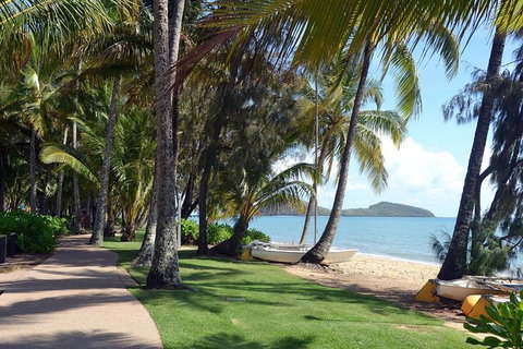 Palm Cove, Clifton Beach, Kewarra Beach To/from Cairns - Accommodation VIC 0