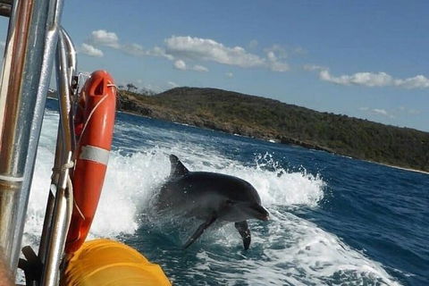Noosa Oceanrider - Thrill Ride - Accommodation VIC 4