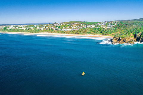 Noosa Oceanrider Scenic Dolphin Safari - Accommodation VIC 5