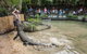 Hartley\'s Crocodile Adventures General Entry Ticket - thumb 0