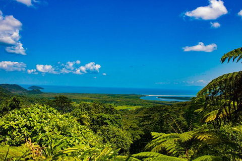 Cape Tribulation Day Tour - Accommodation VIC 0