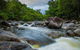 Cape Tribulation Day Tour - thumb 7