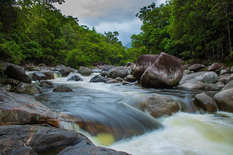 Cape Tribulation Day Tour - Accommodation VIC 7