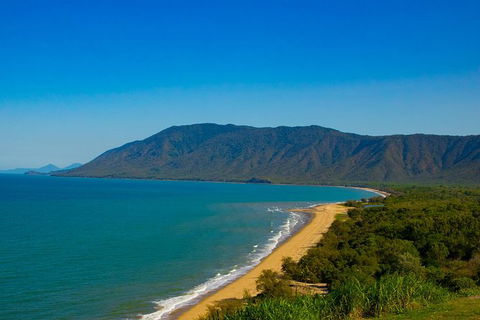 Cape Tribulation Day Tour - Accommodation VIC 4