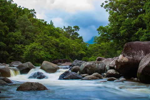 Cape Tribulation Day Tour - Accommodation VIC 5